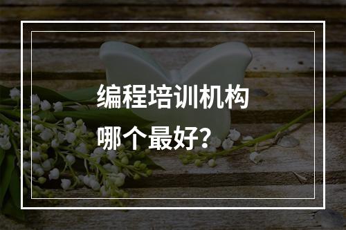 编程培训机构哪个最好？