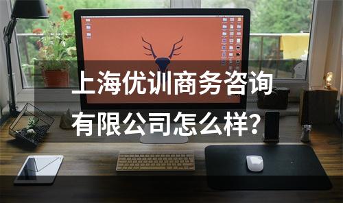 上海优训商务咨询有限公司怎么样？