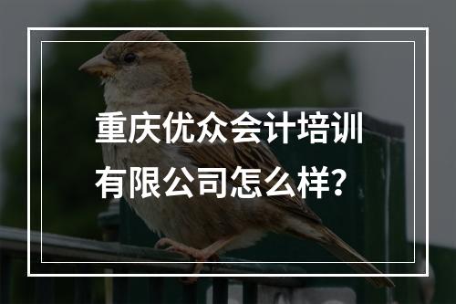 重庆优众会计培训有限公司怎么样？