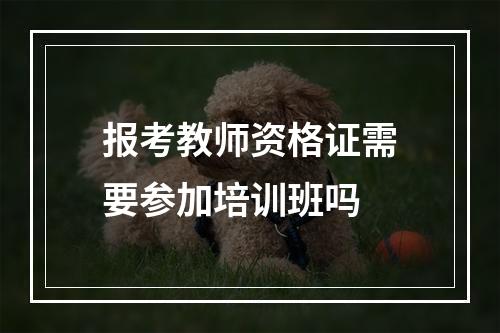 报考教师资格证需要参加培训班吗