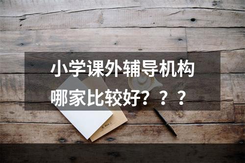 小学课外辅导机构哪家比较好？？？