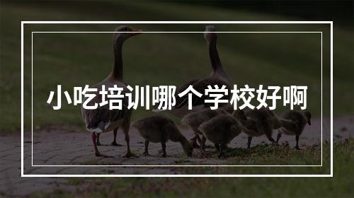 小吃培训哪个学校好啊