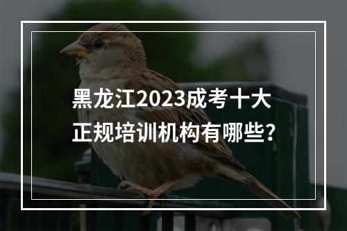 黑龙江2023成考十大正规培训机构有哪些？