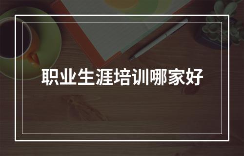 职业生涯培训哪家好