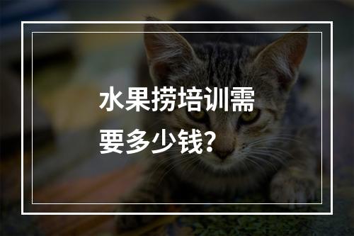 水果捞培训需要多少钱？