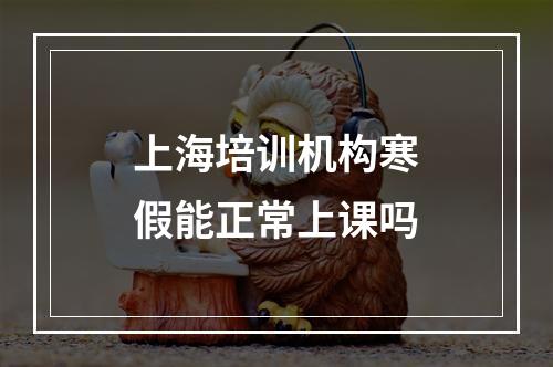 上海培训机构寒假能正常上课吗