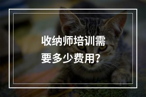 收纳师培训需要多少费用？