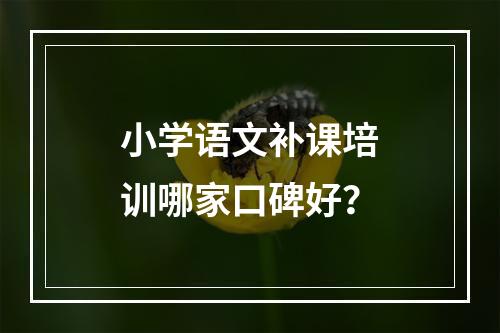 小学语文补课培训哪家口碑好？