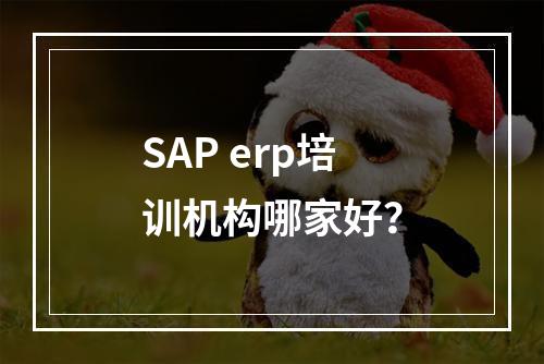 SAP erp培训机构哪家好？