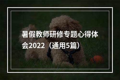 暑假教师研修专题心得体会2022（通用5篇）