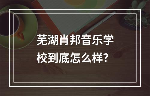 芜湖肖邦音乐学校到底怎么样?