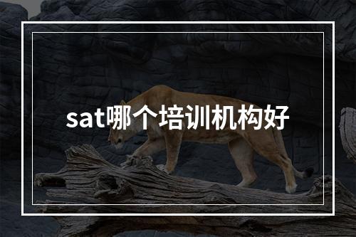 sat哪个培训机构好