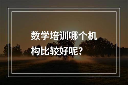 数学培训哪个机构比较好呢？