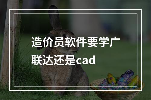 造价员软件要学广联达还是cad