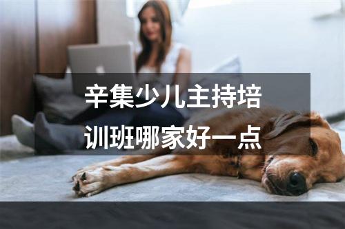 辛集少儿主持培训班哪家好一点