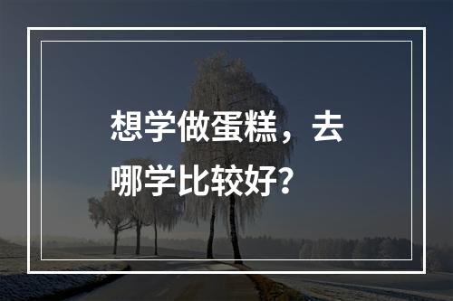 想学做蛋糕，去哪学比较好？