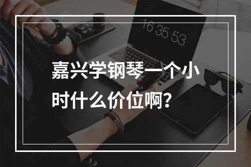 嘉兴学钢琴一个小时什么价位啊？