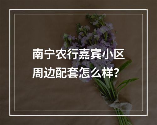 南宁农行嘉宾小区周边配套怎么样？