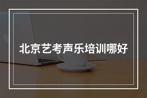 北京艺考声乐培训哪好