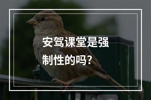 安驾课堂是强制性的吗?