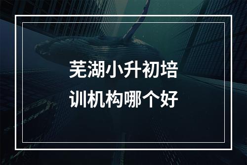 芜湖小升初培训机构哪个好