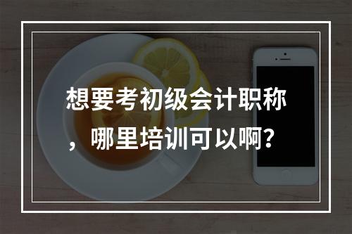 想要考初级会计职称，哪里培训可以啊？