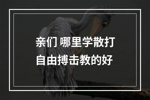 亲们 哪里学散打自由搏击教的好