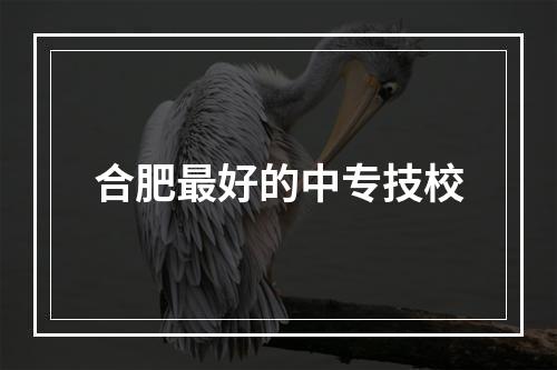 合肥最好的中专技校