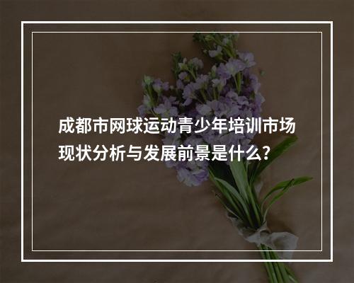 成都市网球运动青少年培训市场现状分析与发展前景是什么？