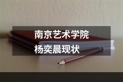 南京艺术学院杨奕晨现状