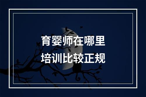 育婴师在哪里培训比较正规