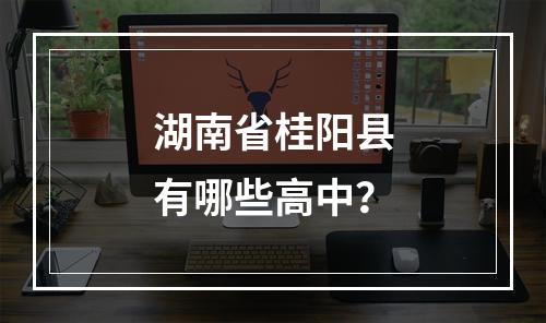 湖南省桂阳县有哪些高中？