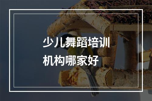 少儿舞蹈培训机构哪家好