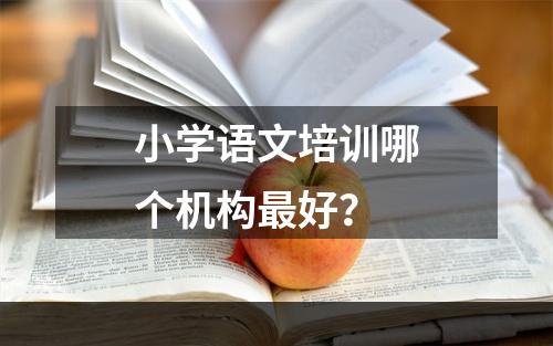 小学语文培训哪个机构最好？