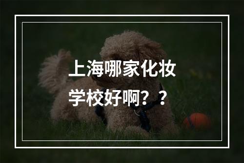 上海哪家化妆学校好啊？？