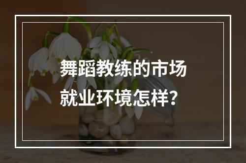 舞蹈教练的市场就业环境怎样？