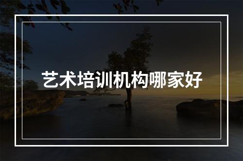 艺术培训机构哪家好