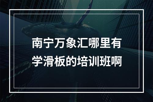 南宁万象汇哪里有学滑板的培训班啊