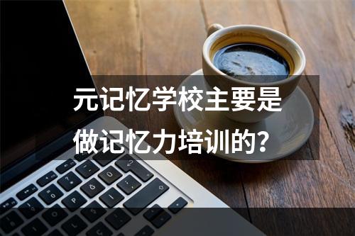 元记忆学校主要是做记忆力培训的？