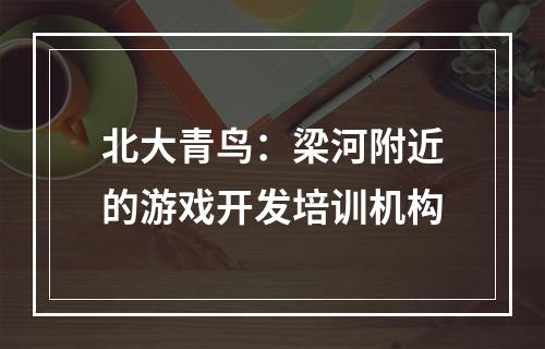 北大青鸟：梁河附近的游戏开发培训机构