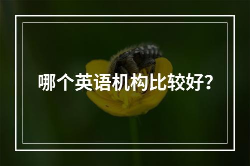 哪个英语机构比较好？