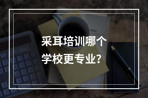 采耳培训哪个学校更专业？