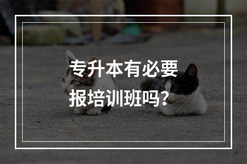 专升本有必要报培训班吗？