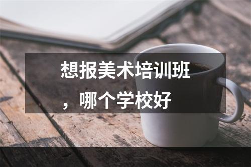 想报美术培训班，哪个学校好