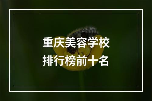 重庆美容学校排行榜前十名