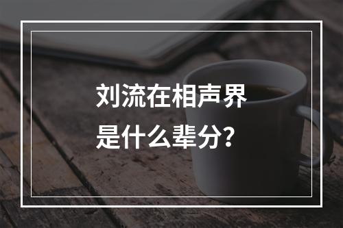 刘流在相声界是什么辈分？