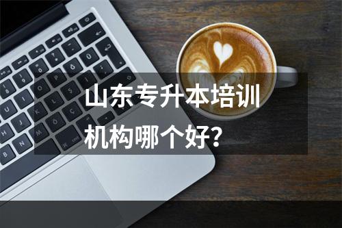 山东专升本培训机构哪个好？