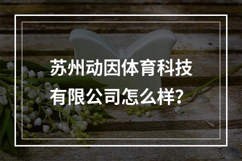 苏州动因体育科技有限公司怎么样？