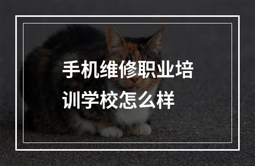 手机维修职业培训学校怎么样