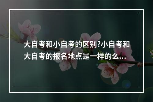 大自考和小自考的区别?小自考和大自考的报名地点是一样的么？